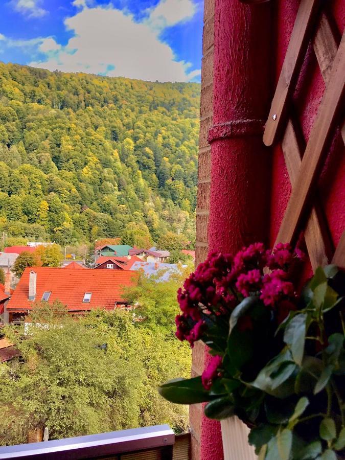 Sweet Pink By Miro Apartment Sinaia Exterior photo