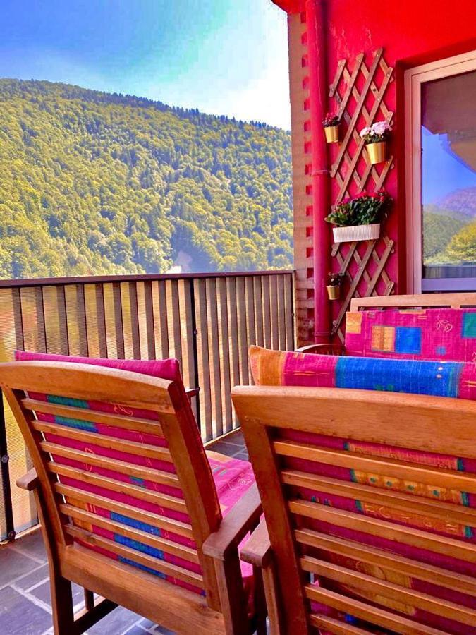 Sweet Pink By Miro Apartment Sinaia Exterior photo